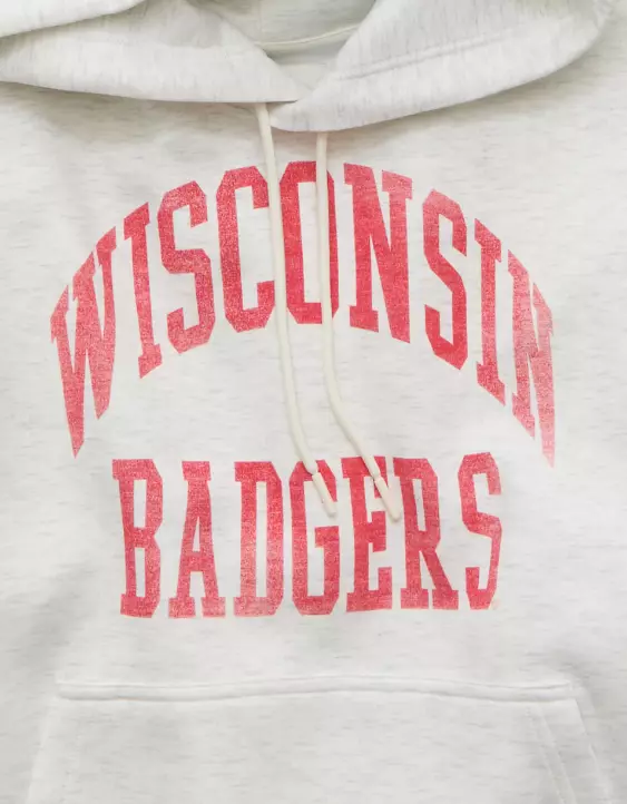 AE 24/7 Wisconsin Badgers Graphic Hoodie - Image 6