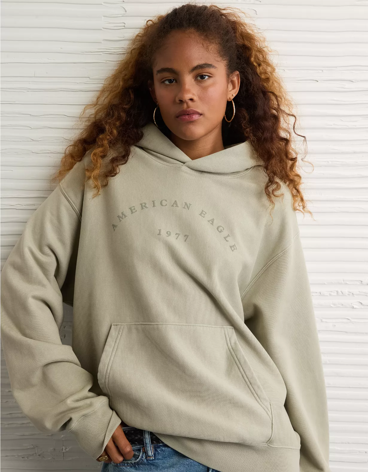 AE Laidback Luxe Heavyweight Graphic Hoodie