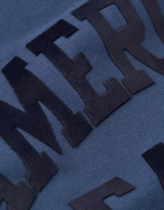 AE Velvet Graphic Crew Neck Sweatshirt - Image 7