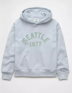 AE Everyday Luxe Graphic Hoodie