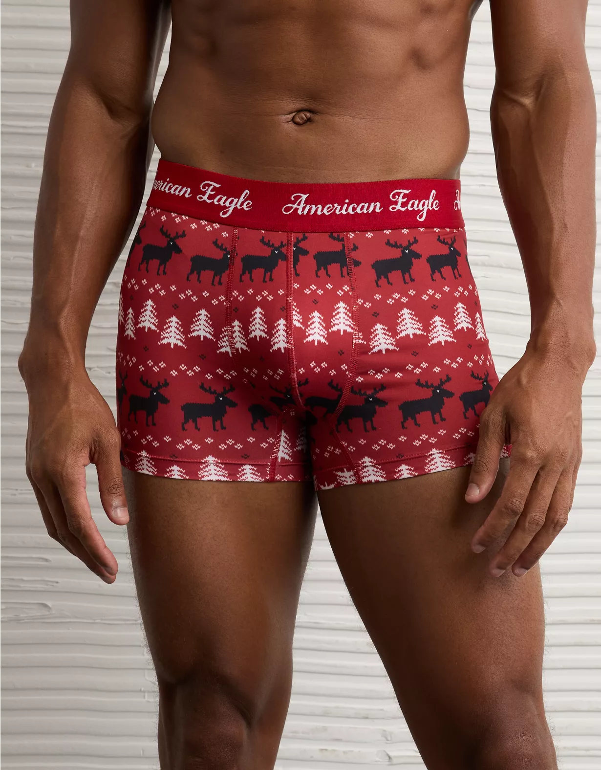 AEO Men's Festive 4" Flex Boxer Brief