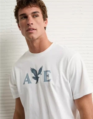 AE Lightweight Icon Logo Graphic T-Shirt
