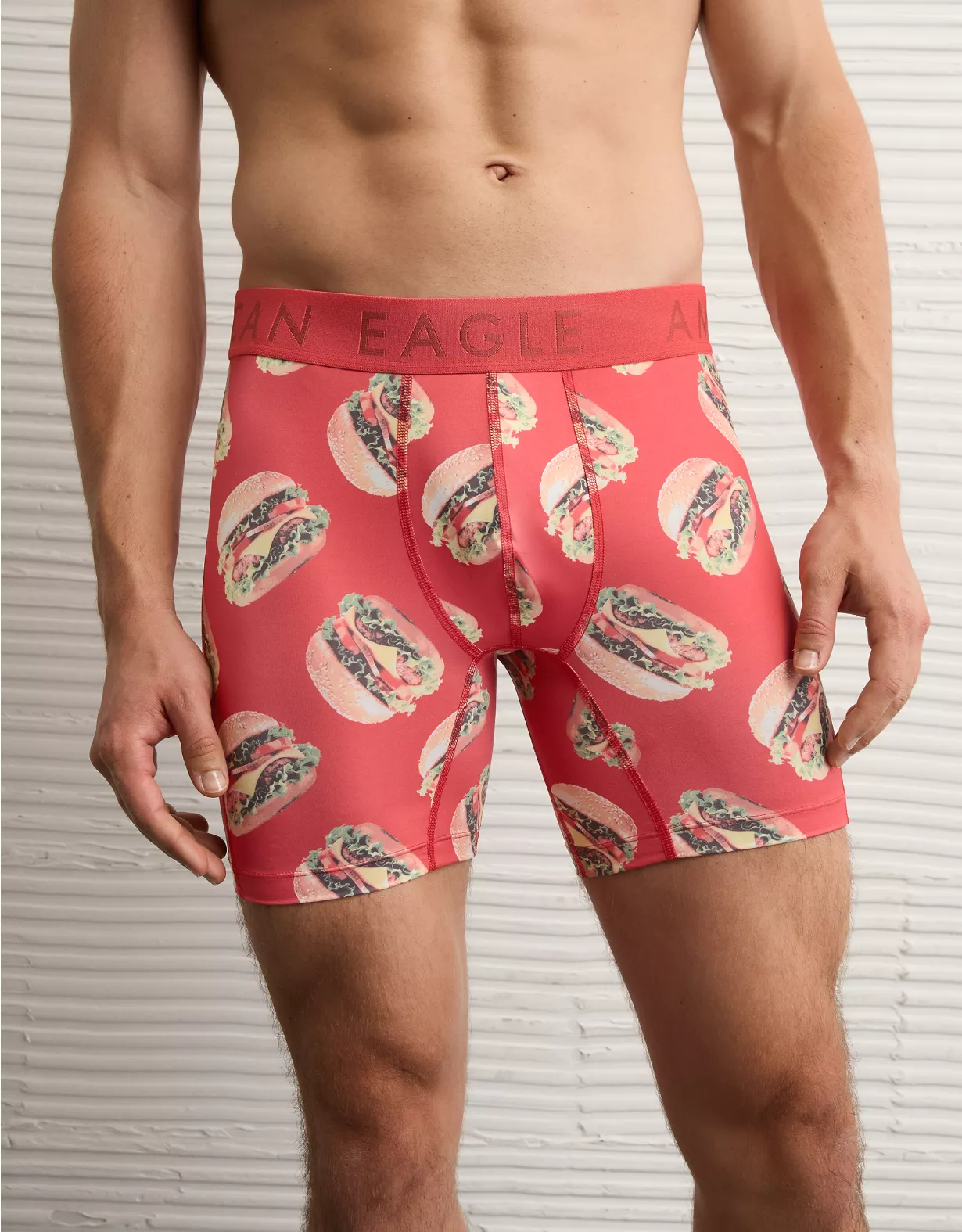 AEO Men's Hamburger 6" Flex Boxer Brief