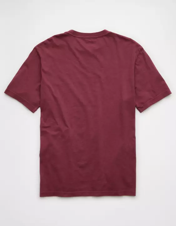 AE Logo Lived-In T-Shirt - Image 4